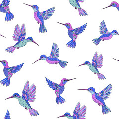 Vector seamless pattern with hummingbird. Decoration print for wrapping, wallpaper, fabric. Seamless vector texture. 