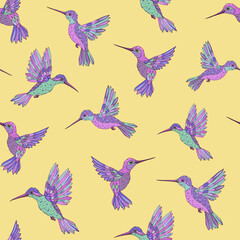 Obraz na płótnie Canvas Vector seamless pattern with hummingbird. Decoration print for wrapping, wallpaper, fabric. Seamless vector texture. 