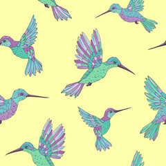 Obraz premium Vector seamless pattern with hummingbird. Decoration print for wrapping, wallpaper, fabric. Seamless vector texture. 