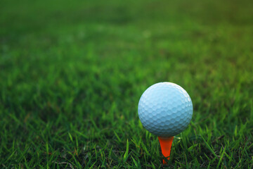 golf ball on tee in a beautiful golf course with morning sunshine