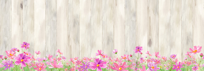 Fototapeta na wymiar 木のフェンスのある、コスモスが咲く庭。水彩イラスト。シームレスパターン。