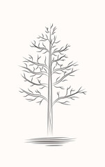 Tree Line Art Black and White Sketches Drawing