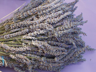 lavande