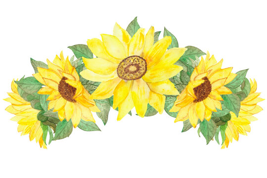 Watercolor hand painted nature floral garden wreath composition with yellow blossom sunflowers and green leaves bouquet on the white background for design elements and cards with the space for text