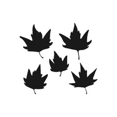 Set of hand drawn maple  leaves on white background. Autumn time.