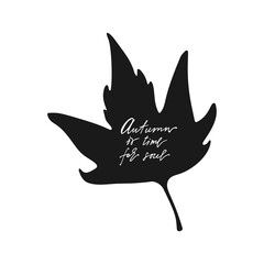 Hand drawn maple  leaf on white background. Designed with lettering Autumn is time for soul