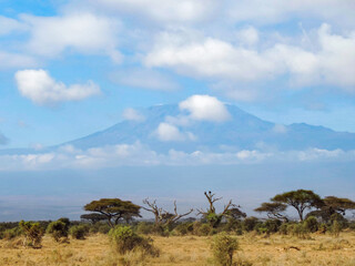 Kilimanjaro, el verdadero rey de África