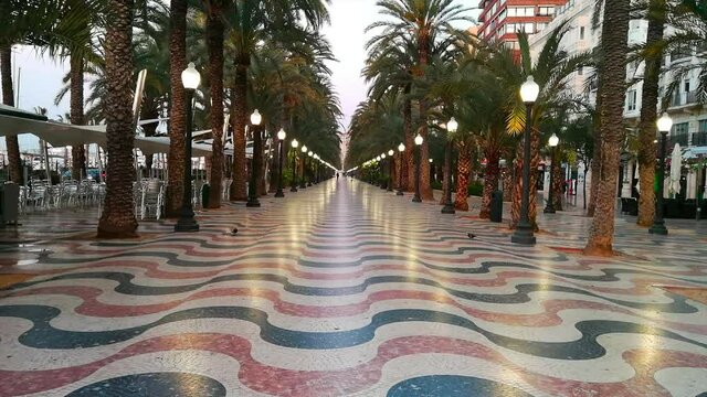 Paseo de la Explanada with its palm trees and its characteristic pavement mosaics in the early hours of the morning, with the night lighting still on 