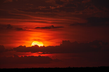 Sun setting, excellent backdrop