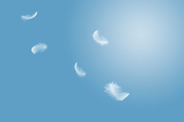 Obraz na płótnie Canvas Light fluffy a white feathers floating in the sky. Feather abstract, freedom concept background.