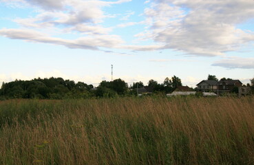 summer landscape with field and blue sky with clouds