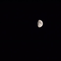 The Moon