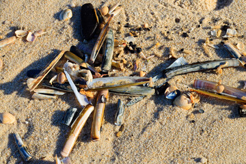 Landscape at the beach of Sylt, Germany, Europe