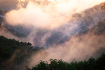 Magic foggy sunset in transylvaninan mountains.