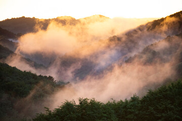 Magic foggy sunset in transylvaninan mountains.