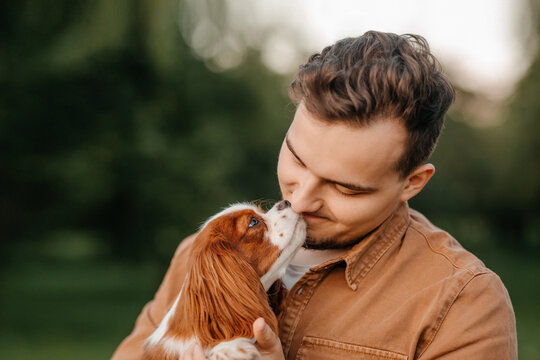 King Charles Spaniel In The Arms Of A Man