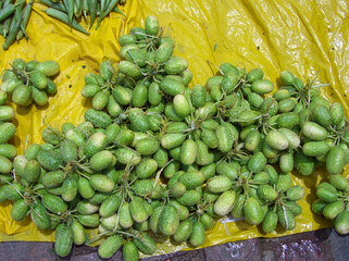 Brésil , marché ville de Cachoëra 