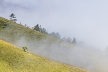 landscape of foggy  mountains
