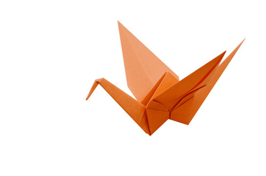 An orange origami paper bird isolated white