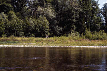 Bielsko Biala, South Poland: A bike rider riding through forest with reflection falling on river sola