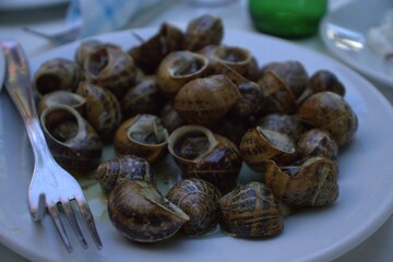 Baked snails food on a plate shellfish sea food fork served table