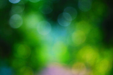 green bokeh background