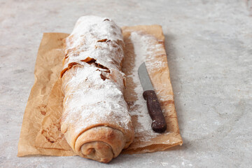 Apple strudel cake with cinnamon and fresh apples on rustic  table background 