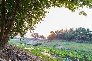 Riverbank landscape with sun behind the trees