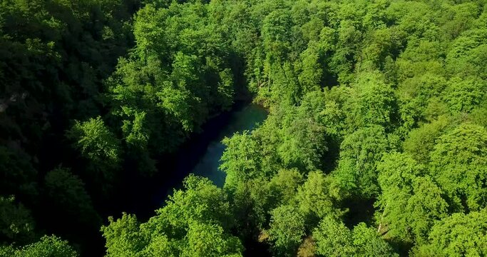 A Small Beautiful Lake In Green Forest  With Fresh Broad Leaves and Foliage Trees In Clear Sunny Pleasant Day 4K Scenic Down View B-Roll Aerial Shot