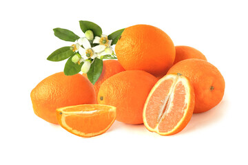 Oranges with half, slice and flowering twig isolated on white