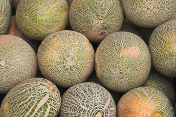 melons - close up, food background