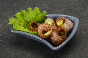 French cuisine - Escargot with sauce