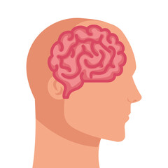silhouette of human profile with brain, on white background vector illustration design