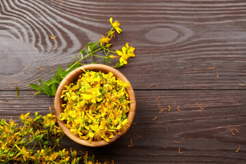 St. John’s wort (Hypericum perforatum) petals in wooden bowl on brown table. Medicinal plant with yellow flowers, healing herb
