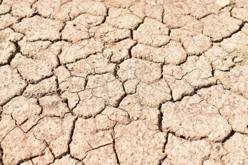 dry cracked earth