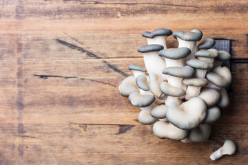 Oyster mushroom or Pleurotus ostreatus on wooden background. Copy space.