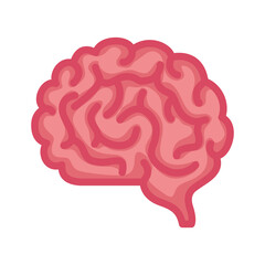 neurology, brain human on white background vector illustration design