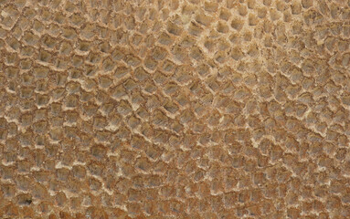 brown stone of a wall with the texture of a golden hive - background wallpaper