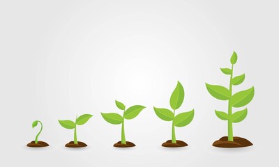 Saplings, Sprouts Growth Stages Vector Drawings Set. Green Saplings Growing In Soil Isolated Cliparts Pack.