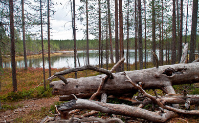 Lake in a national park in East-Finland