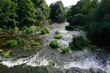 stream in the forest 