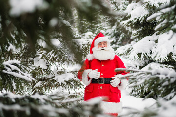 Santa claus greets in the snowy coniferous forest in December. Christmas time. An elderly gray-haired man in a Santa Claus costume posing outdoors.