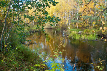 Fototapeta na wymiar Little river in the region of Kainuu, Finland