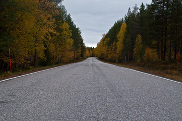 Empty road in the region of Kainuu, Finland