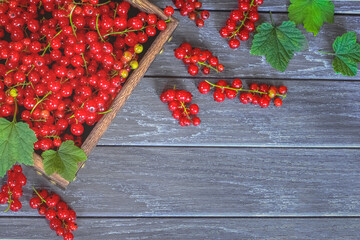 ripe red currant berries in a wooden box top view. background with red currant berries and green leaves. redcurrant lay flat on the wooden table.
