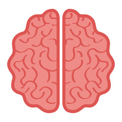neurology, brain human on white background vector illustration design