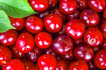 ripe cherry berries background. red cherry berries macro. cherry and green leaves filling the background.