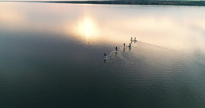 People float on sup boards along the river at sunset in summer. Aerial shot
