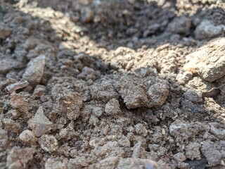 close up of the ground
