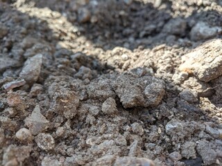 close up on soil